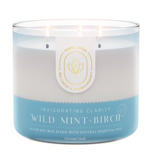 Wild Mint & Birch Aromatherapy 3-Wick Candle